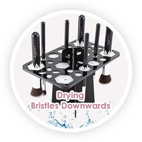 Bristles Downwards Makeup Brush Drying